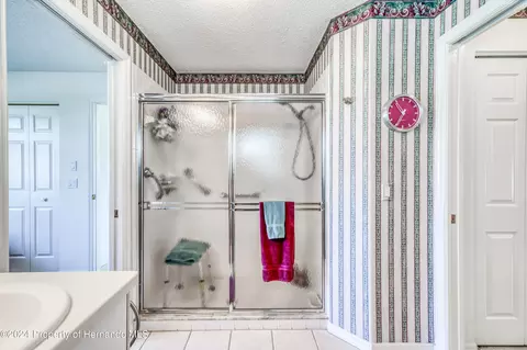10045 Eagle Bnd, Hudson, FL 34667 photo 39