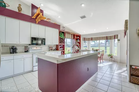 10045 Eagle Bnd, Hudson, FL 34667 photo 18