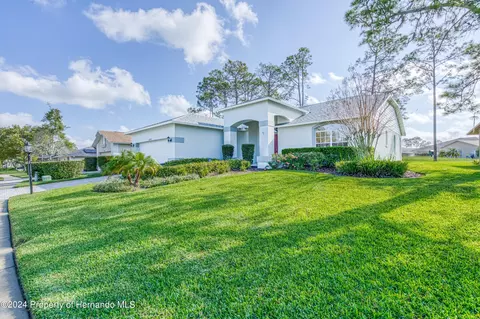 10045 Eagle Bnd, Hudson, FL 34667 photo 5
