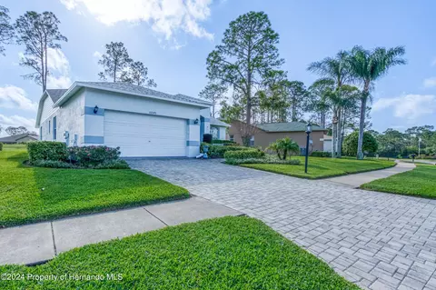 10045 Eagle Bnd, Hudson, FL 34667 photo 3