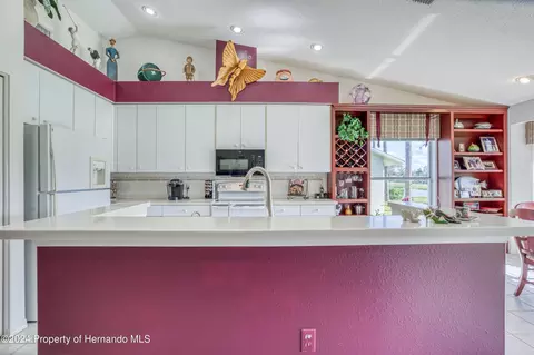 10045 Eagle Bnd, Hudson, FL 34667 photo 19