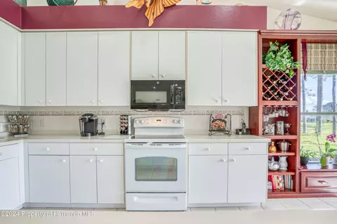 10045 Eagle Bnd, Hudson, FL 34667 photo 20