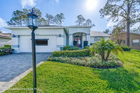 10045 Eagle Bnd, Hudson, FL 34667 photo 1