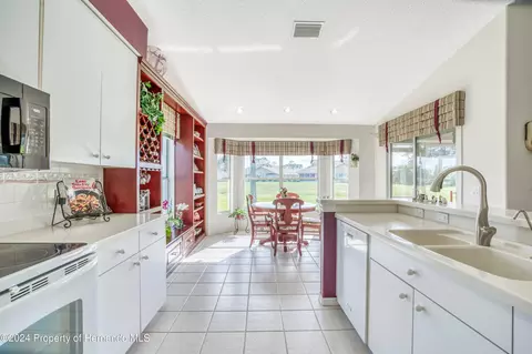 10045 Eagle Bnd, Hudson, FL 34667 photo 24