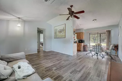 10292 Musa, Spring Hill, FL 34608 photo 10