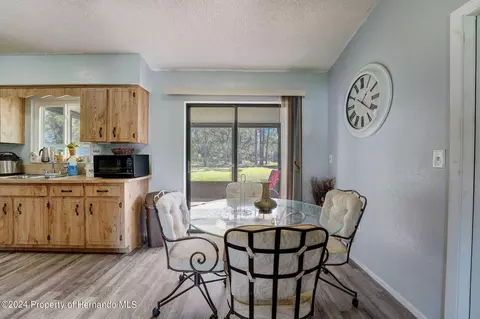 10292 Musa, Spring Hill, FL 34608 photo 11