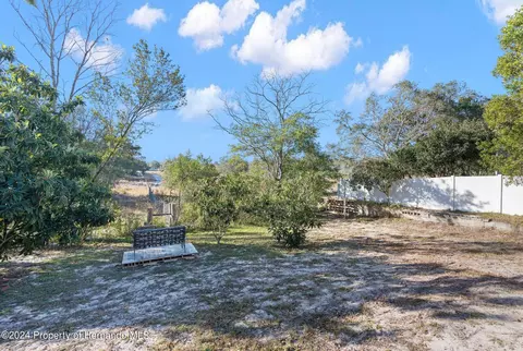 9124 Eldridge, Spring Hill, FL 34608 photo 22