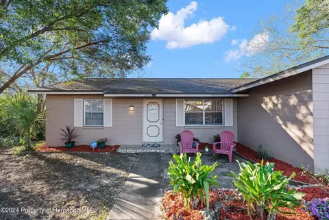 9124 Eldridge, Spring Hill, FL 34608 photo 3