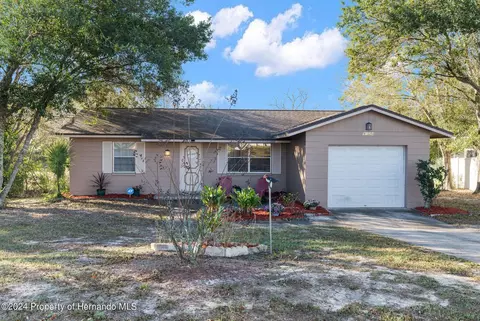 9124 Eldridge, Spring Hill, FL 34608 photo 1