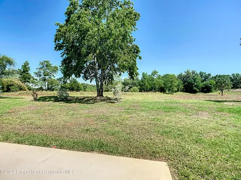 1179 Glen Mdw, Lecanto, FL 34461 photo 49