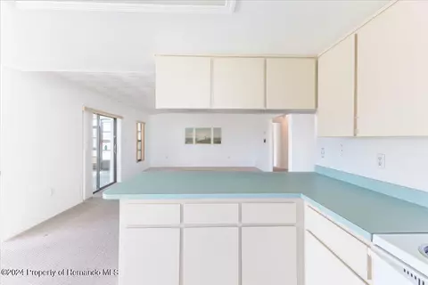 4316 Flexer, Hernando Beach, FL 34607 photo 14