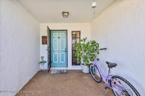 4316 Flexer, Hernando Beach, FL 34607 photo 3
