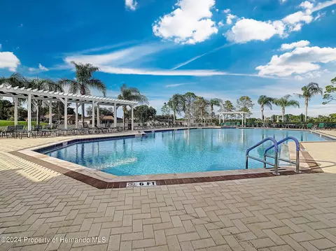 7348 Willow Brk, Spring Hill, FL 34606 photo 77