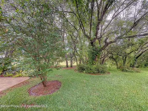 7348 Willow Brk, Spring Hill, FL 34606 photo 56