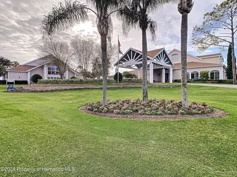 7348 Willow Brk, Spring Hill, FL 34606 photo 78