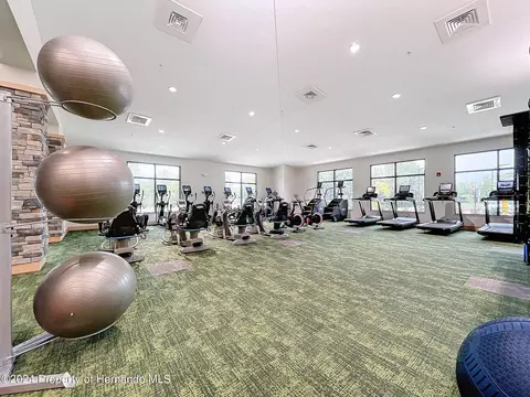 7348 Willow Brk, Spring Hill, FL 34606 photo 63