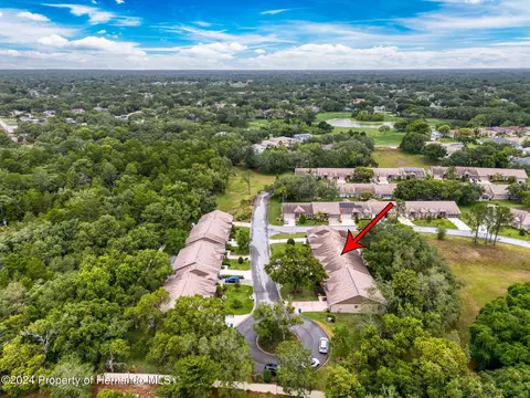 7348 Willow Brk, Spring Hill, FL 34606 photo 7
