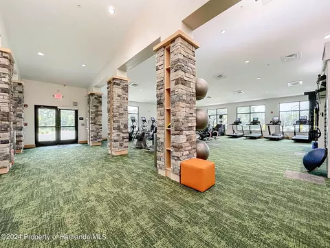7348 Willow Brk, Spring Hill, FL 34606 photo 62