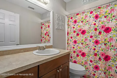 6142 Sunday, Spring Hill, FL 34608 photo 16