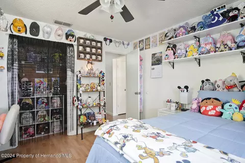 9276 Jena, Spring Hill, FL 34608 photo 54