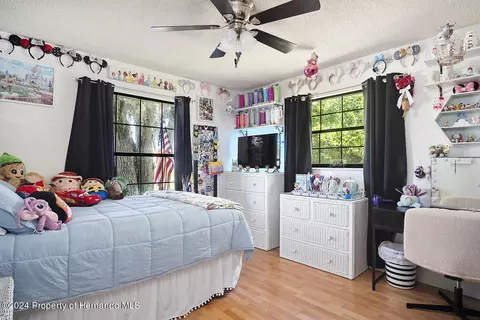 9276 Jena, Spring Hill, FL 34608 photo 53