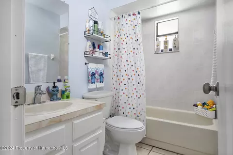 9276 Jena, Spring Hill, FL 34608 photo 52