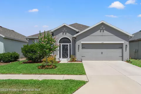 1144 Old Windsor, Spring Hill, FL 34609 photo 3