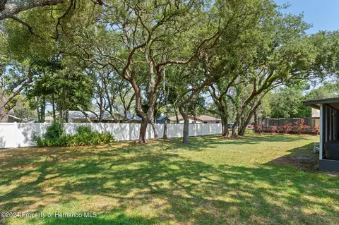 2459 Covington, Spring Hill, FL 34608 photo 47