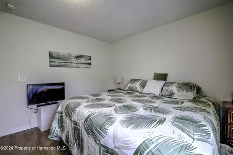 13008 Killian, Spring Hill, FL 34609 photo 31