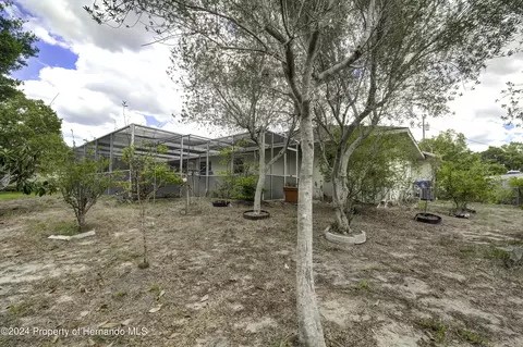 3005 Keeport, Spring Hill, FL 34609 photo 39