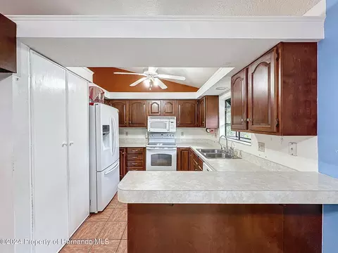 6677 W Richard, Spring Hill, FL 34607 photo 25