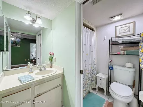 6677 W Richard, Spring Hill, FL 34607 photo 15