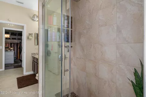10917 Rockledge Vw, Riverview, FL 33579 photo 46