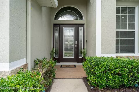 10917 Rockledge Vw, Riverview, FL 33579 photo 10
