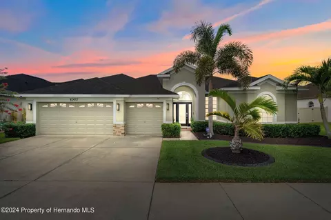 10917 Rockledge Vw, Riverview, FL 33579 photo 1