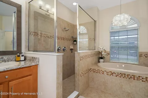 10917 Rockledge Vw, Riverview, FL 33579 photo 33