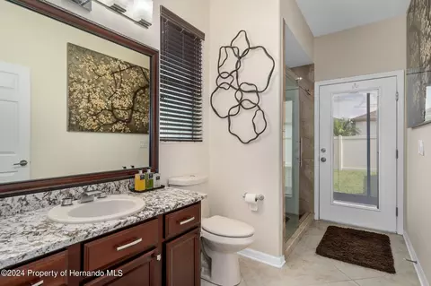 10917 Rockledge Vw, Riverview, FL 33579 photo 45