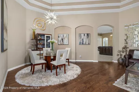 10917 Rockledge Vw, Riverview, FL 33579 photo 14