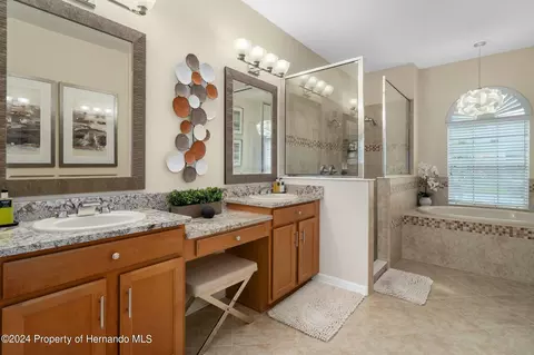 10917 Rockledge Vw, Riverview, FL 33579 photo 32