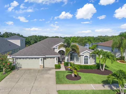 10917 Rockledge Vw, Riverview, FL 33579 photo 5