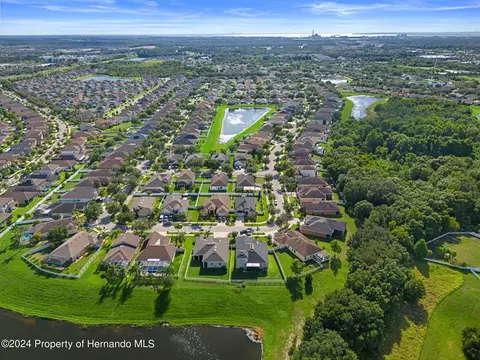 10917 Rockledge Vw, Riverview, FL 33579 photo 62