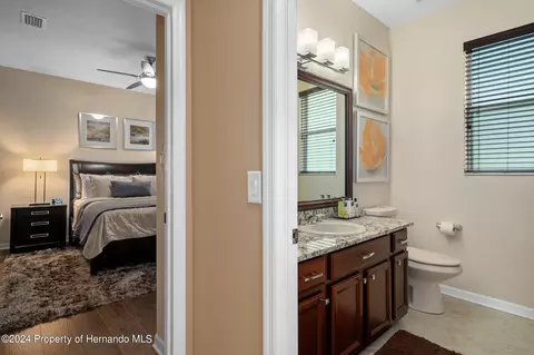 10917 Rockledge Vw, Riverview, FL 33579 photo 38