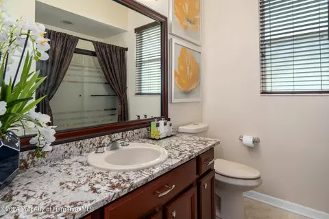 10917 Rockledge Vw, Riverview, FL 33579 photo 40