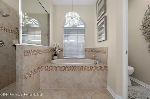 10917 Rockledge Vw, Riverview, FL 33579 photo 35