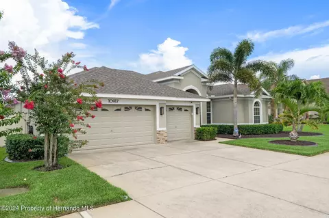 10917 Rockledge Vw, Riverview, FL 33579 photo 3