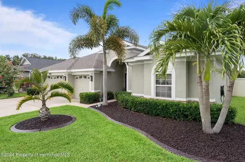 10917 Rockledge Vw, Riverview, FL 33579 photo 4