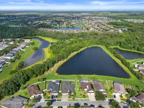 10917 Rockledge Vw, Riverview, FL 33579 photo 9