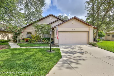 6803 Plumleaf Ct, Spring Hill, FL 34606 photo 1