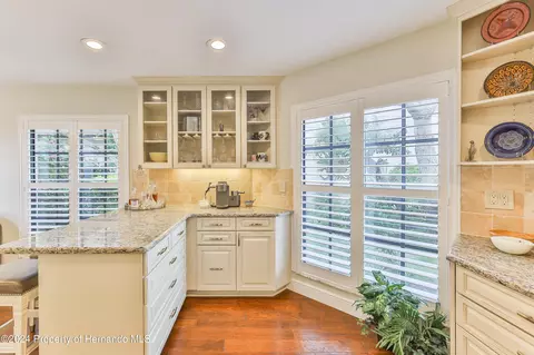 6803 Plumleaf Ct, Spring Hill, FL 34606 photo 9