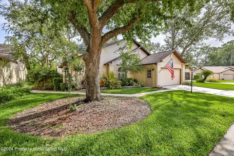 6803 Plumleaf Ct, Spring Hill, FL 34606 photo 4